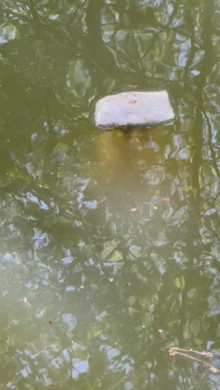 30 pound bucket LiveWater